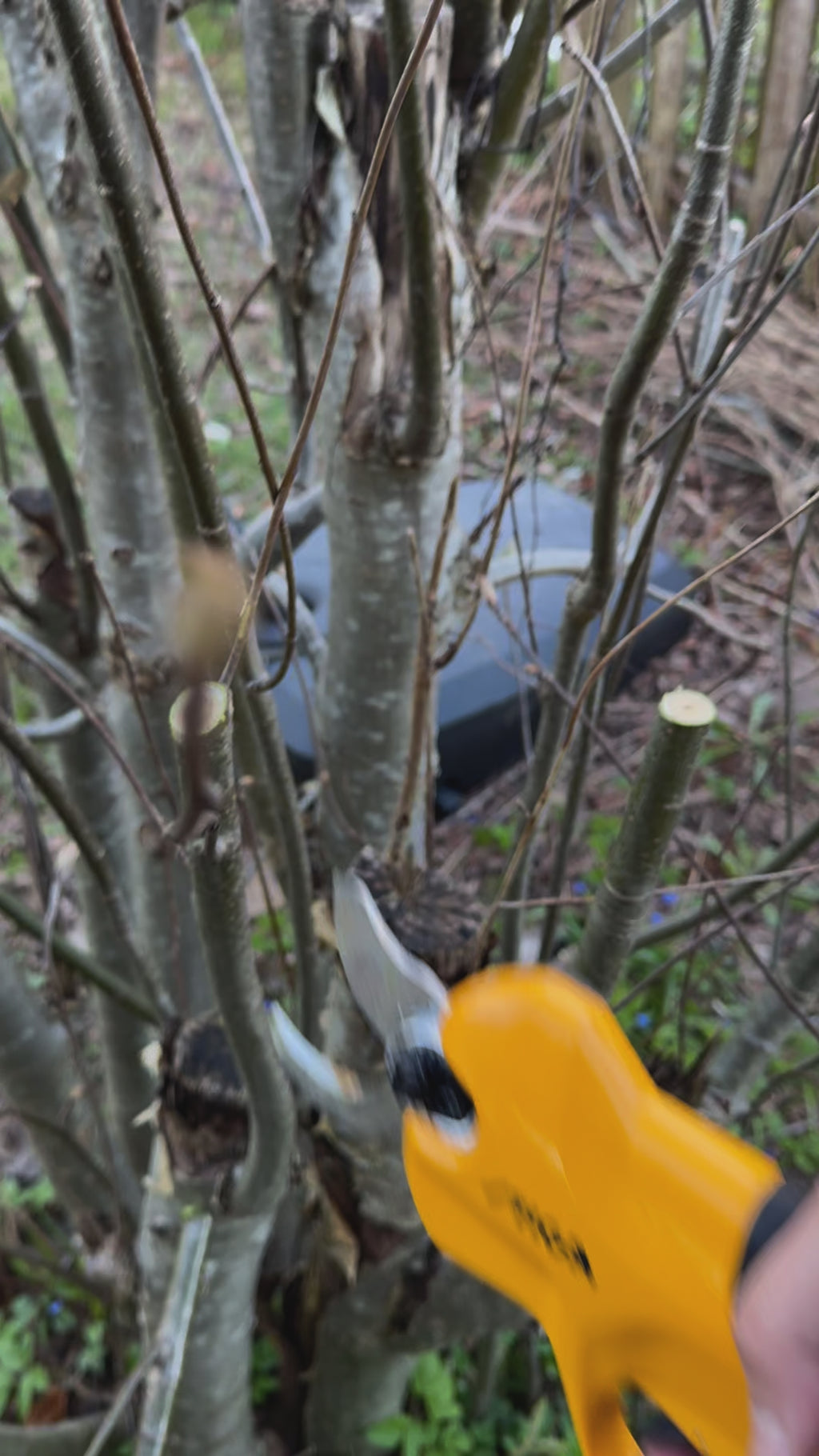 Batteridriven Sekatör