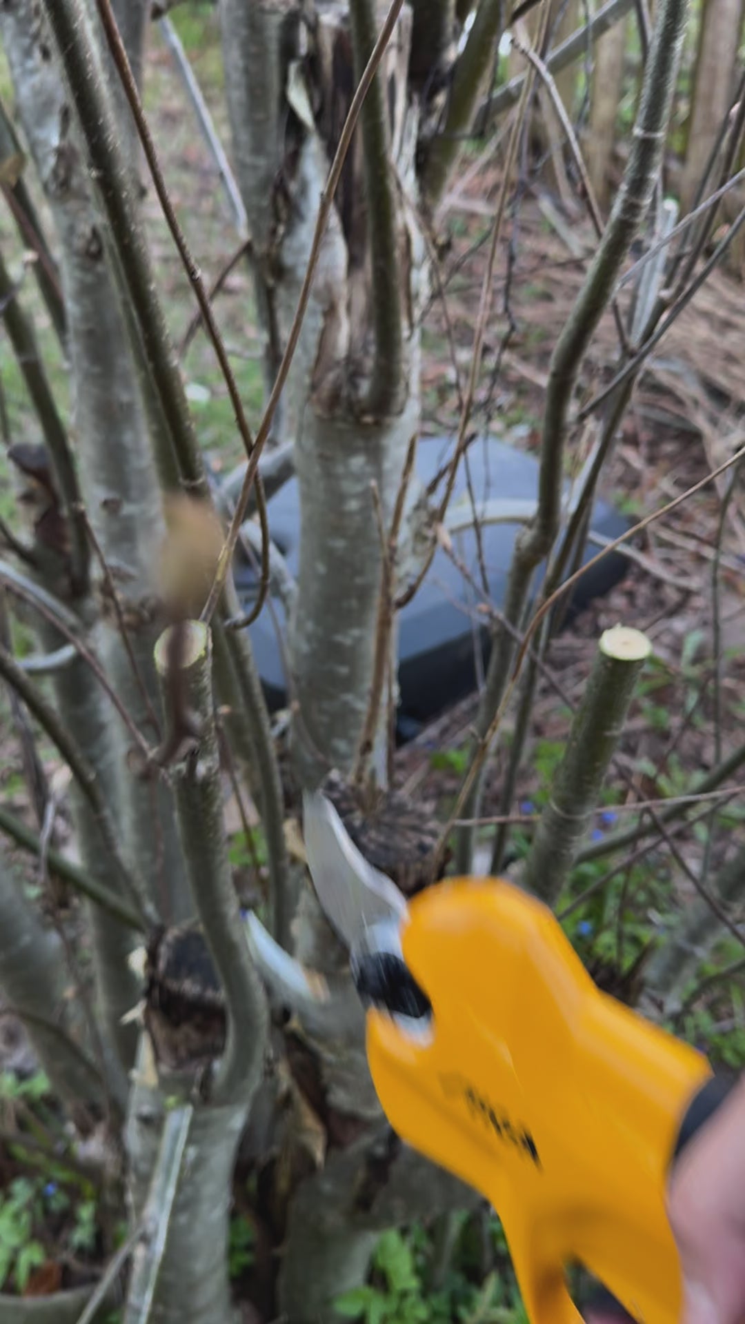 Batteridriven Sekatör