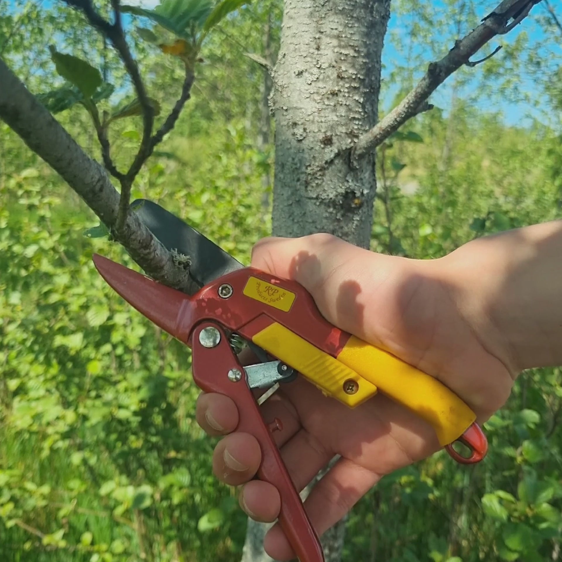 3-stegs sekatör 60-804